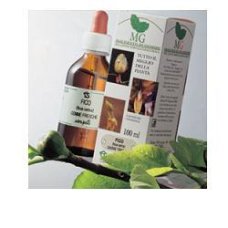 BETULA VERRUCOSA 100ML MG