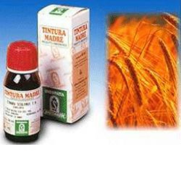 AVENA SATIVA 50ML TM  SPECCH.