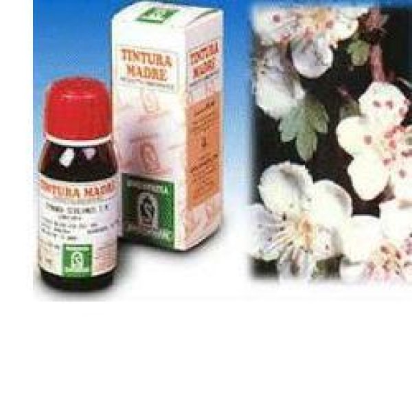 BIANCOSPINO *T.M. 50ML (10)SPE