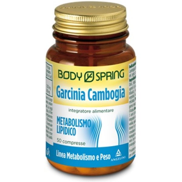 BS GARCINIA CAMB 50CPR BSP