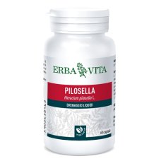 PILOSELLA 60CPS 400MG EBV<