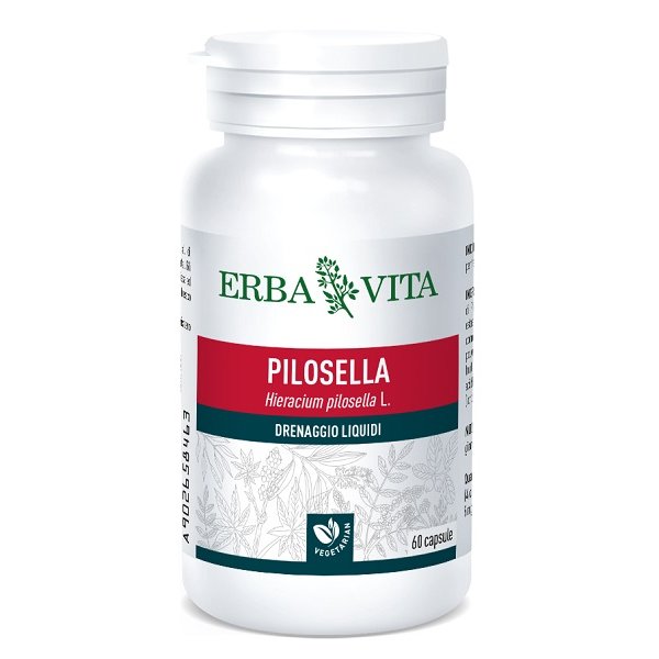 PILOSELLA 60CPS 400MG EBV<