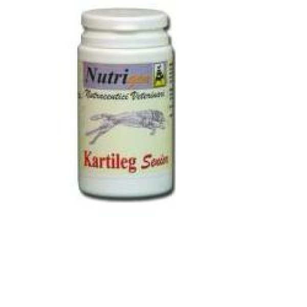 KARTILEG SENIOR 60TAV