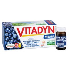 VITADYN MEMO 10FLX10ML S/GINKG