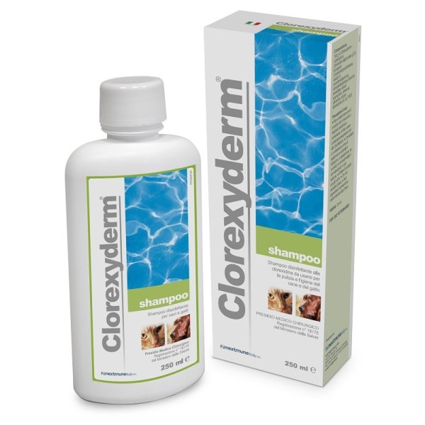 CLOREXYDERM*SHAMPOO 250 ML