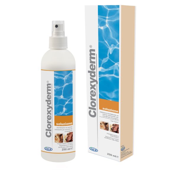 CLOREXYDERM*SOLUZIONE 250ML