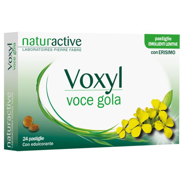 VOXYL VOCE GOLA 24PAST 60G