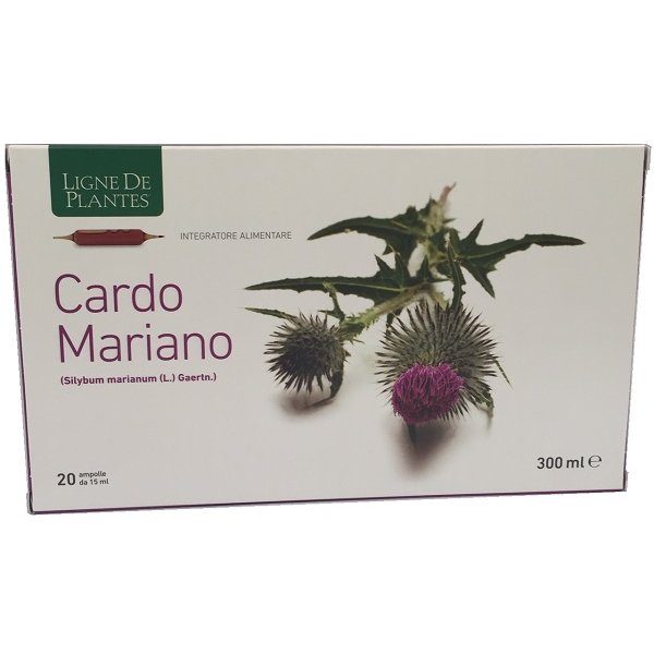 CARDO MARIANO 20AB 15ML