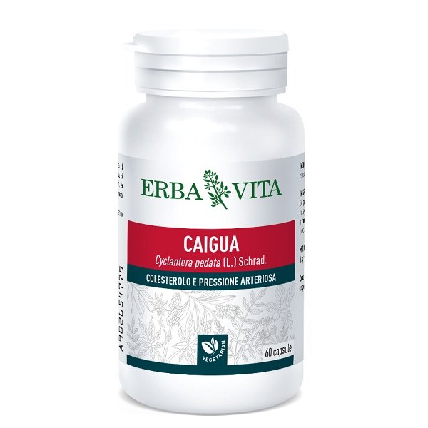 CAIGUA 60CPS 400MG  ERBAVITA