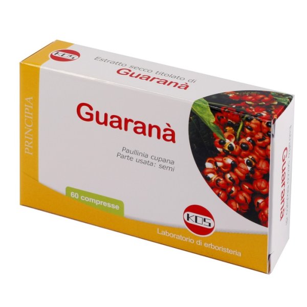 GUARANA E.S. 60CPR 300MG KOS