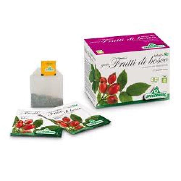 INFUSO FRUTTA BOSCO 20BS