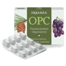 OPC 24CPS VEG S/GL 500MG ERBAMEA