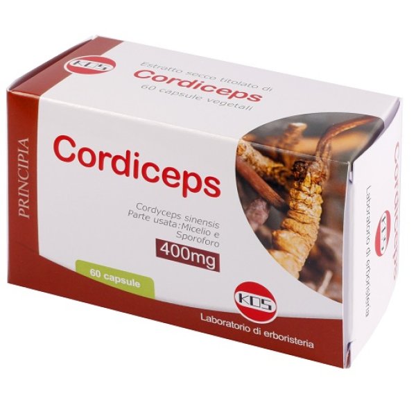 CORDICEPS ESTRATTO SECCO 60CPS