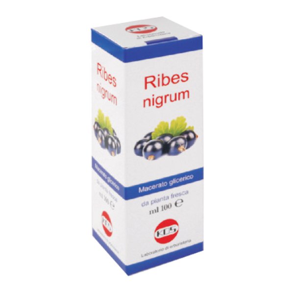 RIBES NIGRUM MG 100ML GTT