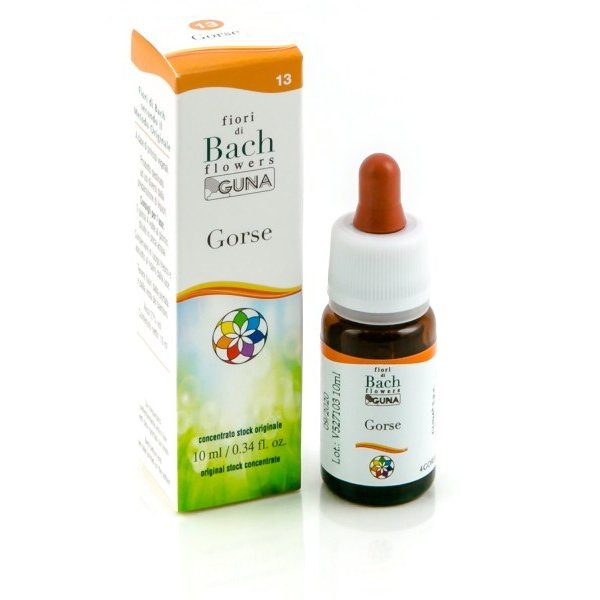 HE.GORSE GUN GTT 10ML F.BACH