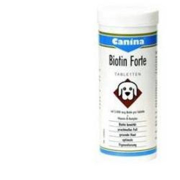 BIOTIN FORTE POLV 200G