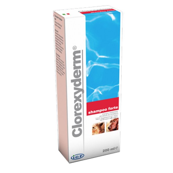 CLOREXYDERM FORTE*SHAMPOO 200M