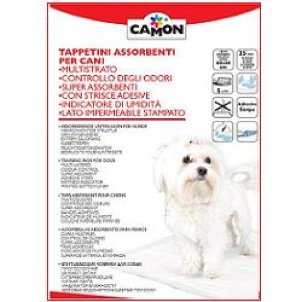 TAPPETINO ASS CANI 60X60 25PZ