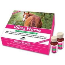 RIBES HORSE 30FLX25ML