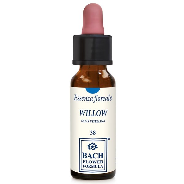 WILLOW ORIGINAL 10ML GTT