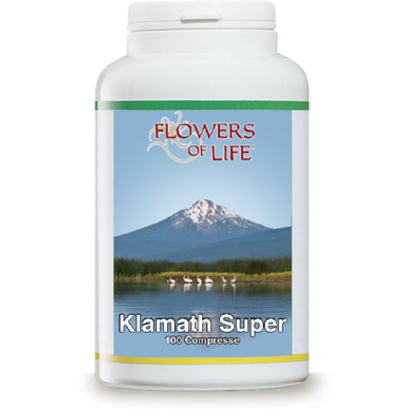 KLAMATH SUPER 100CPR FLOWERS