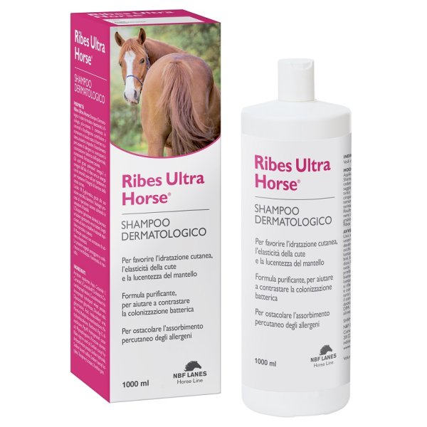 RIBES HORSE SHAMPOO BALS ULTRA