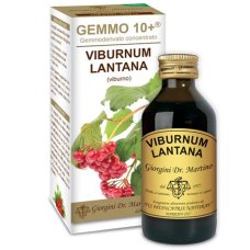 VIBURNO LIQ ANALCOLICO 100ML