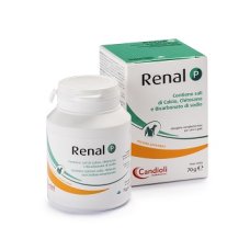 RENAL P 80G