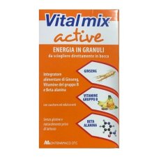 VITALMIX ACTIVE 14BUST 21G