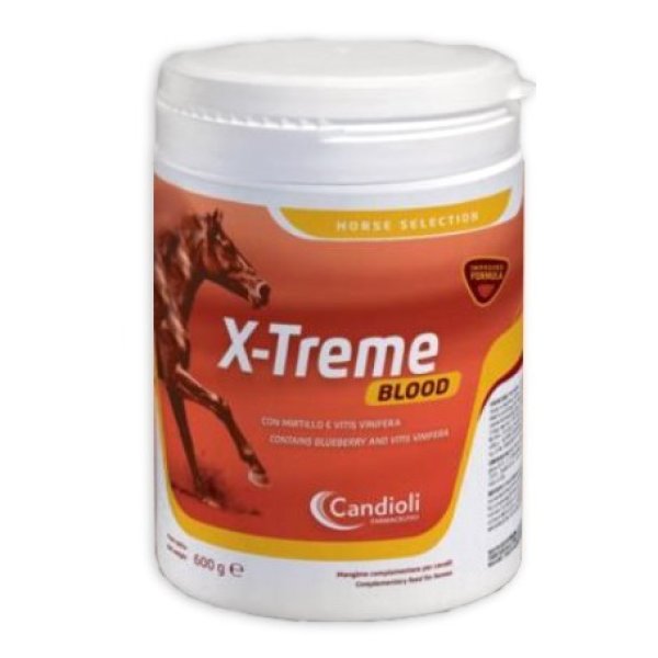 X-TREME BLOOD 600G