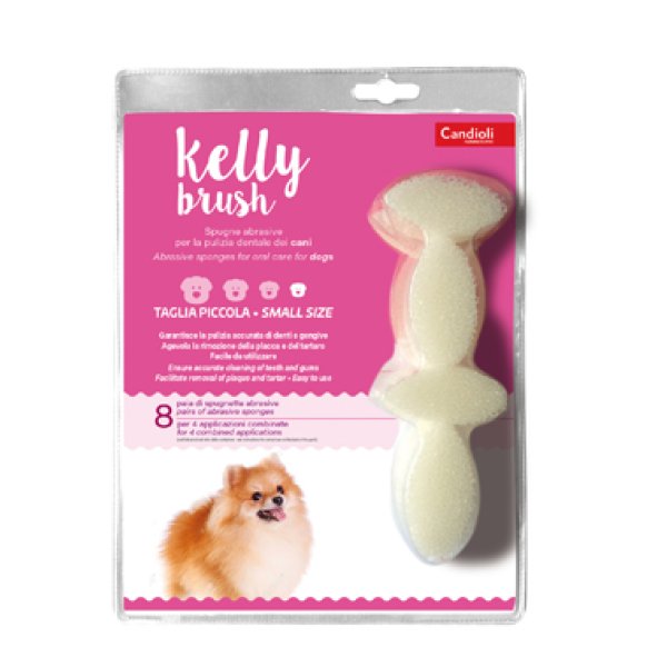 KELLY BRUSH SPUGNETTA PIC 16PZ