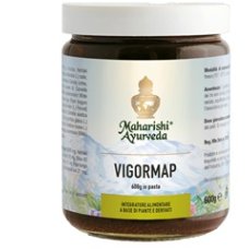 VIGORMAP PASTA 600G