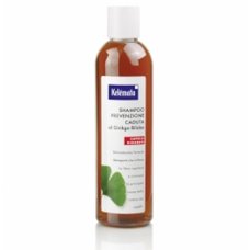 SHAMPOO PREV CAD GINKGO BILOBA