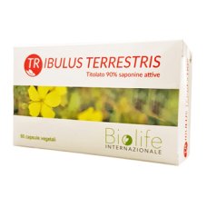 TRIBULUS TERRESTRIS 60CPR