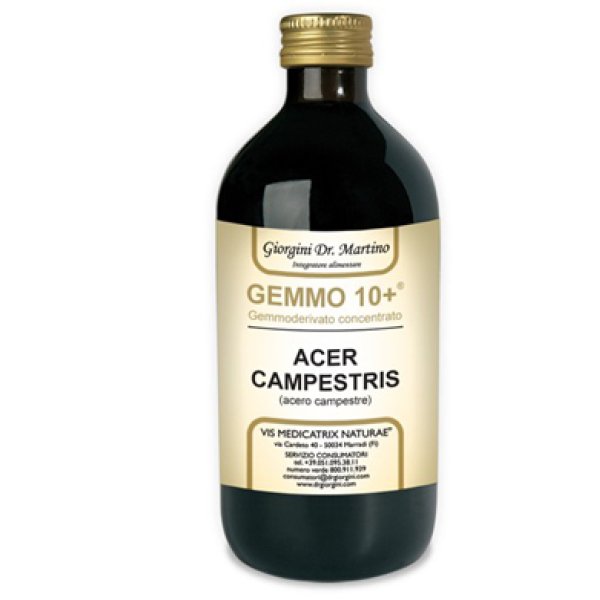 ACERO CAMP 500ML ANALCO GEM10+