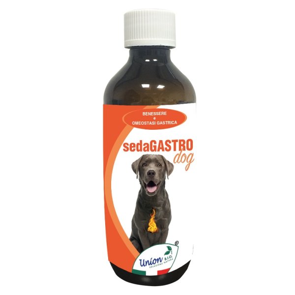 SEDAGASTRO 200 ML