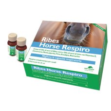 RIBES HORSE RESPIRO 30FL 25ML