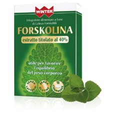 WINTER FORSKOLINA 15CPR