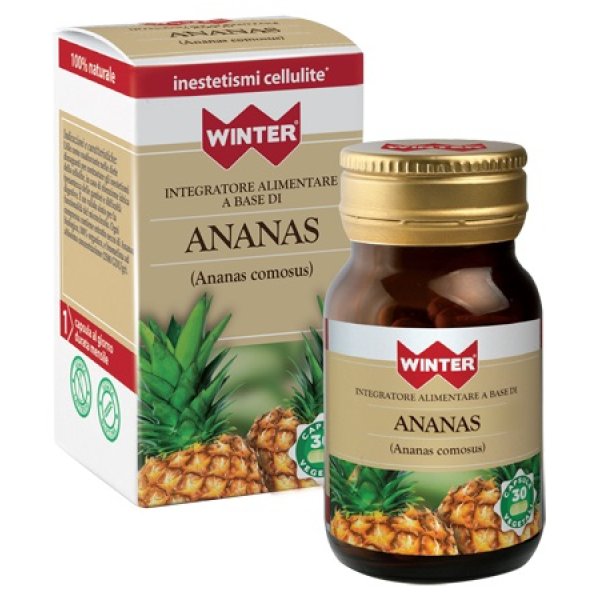 WINTER ANANAS BIO 30CPS VEG