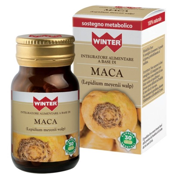 WINTER MACA 30CPS VEG