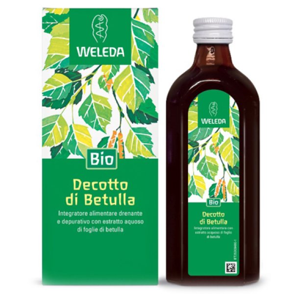 DECOTTO DI BETULLA 250ML