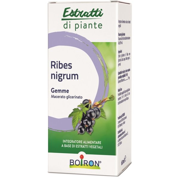 BO.RIBES NIGRUM MG 60ML INT