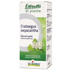 BO.CRATAEGUS OXY MG 60ML INT