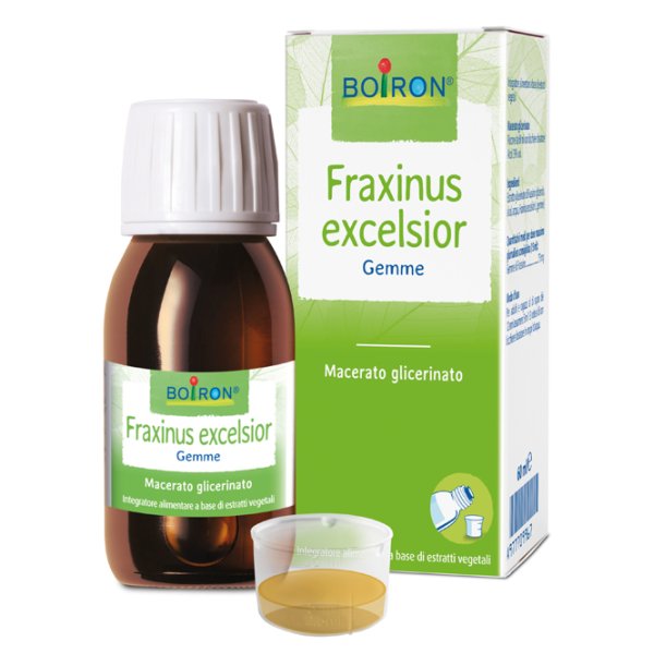 BO.FRAXINUS EXCELS MG 60ML INT