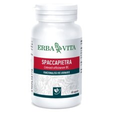 SPACCAPIETRA 60CPS N/F ERBAVIT