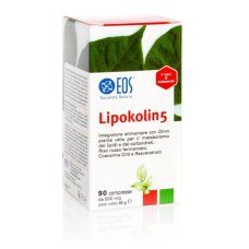 LIPOKOLIN 5 90CPR 500MG