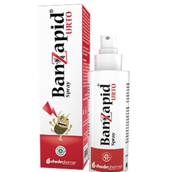 BANZAPID SPR TRATTAMENTO 100ML