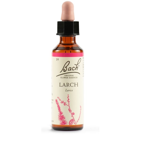 LARCH BACH ORIG 20ML