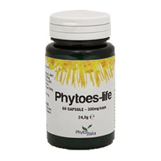 PHYTOES LIFE 60CPS