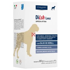 DILSH LARGE 20BUSTE 10GR